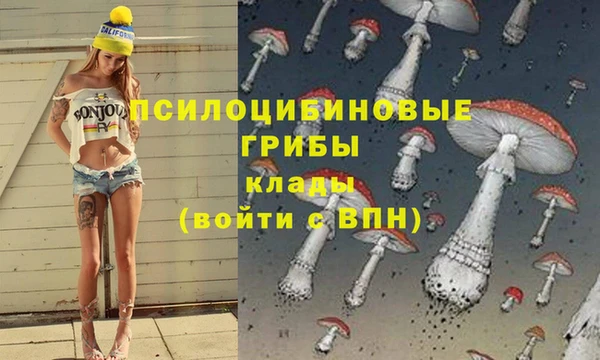 ALPHA PVP Арсеньев