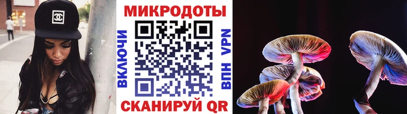 Псилоцибиновые грибы Magic Shrooms  гидра зеркало  Пучеж  как найти  